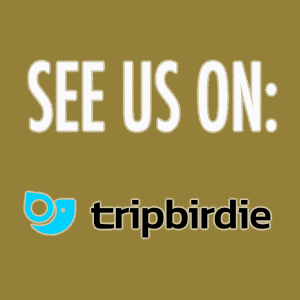 tripbirdie - Athina Suites